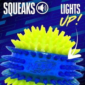 Squeaky Lighted Ball